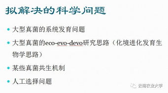 2017年云南农业大学科技创新成果汇 三 三大研究发展计划