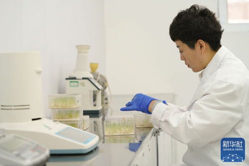 大粮仓 黑龙江春耕备耕火热进行