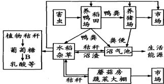 4.小球藻是常用来进行毒性测试的模式生物,纳米银由于抗菌性能良好而被广泛应用于纺织品.食物容器.医药及个人护理品等商品中.但其释放到水环境中的风险也引起了科学界的重视
