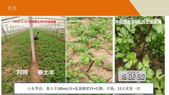奥特奇 赛土丰 破解土壤健康的密码