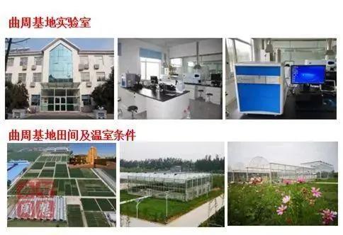 中国农大曲周实验站入选国家农业科技示范展示基地