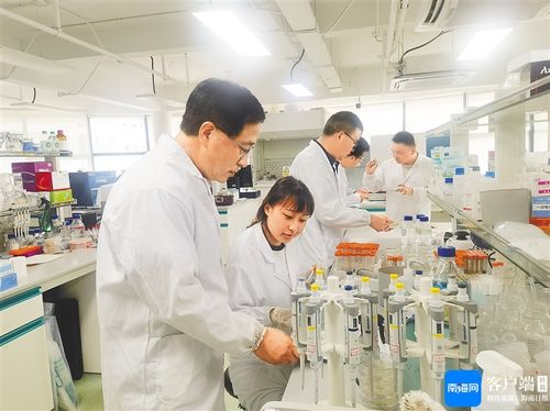 省种业实验室创新模式加快科技成果转化 让科研成果用得上 走得俏