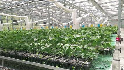 贵阳农业农垦投资发展集团网站