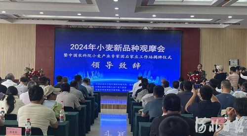 河北唯一 中国农业科学院小麦产业专家团石家庄工作站揭牌凤凰网河北 凤凰网