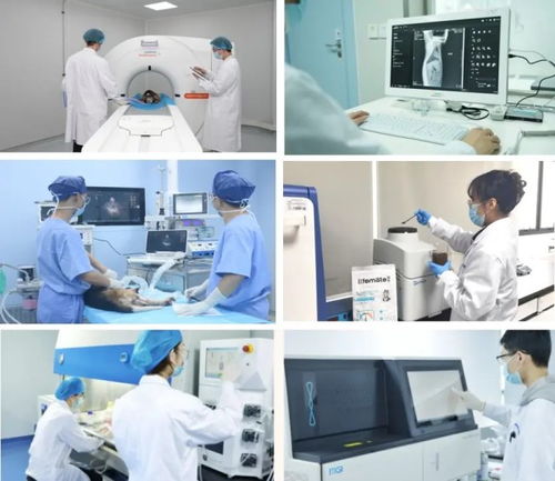赣州大健康宠物科学研究院 以科技创新引领宠物产业高质量发展