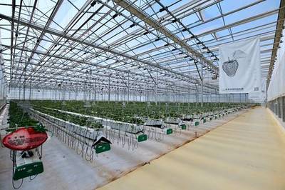 助力长三角一体化前沿科技创新发展 浙江大学联合繁星公益基金在上海设立科学基金