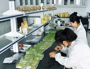 中农立华董事长苏毅:实现"种子+农药"业务协同发展