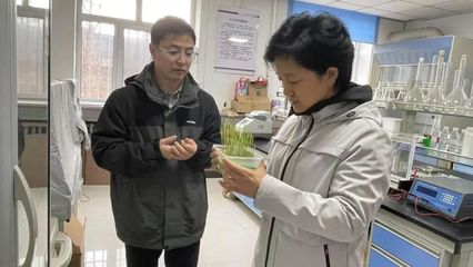 精准谋划区域农业创新,科技赋能共话振兴发展丨省农科院党组书记、院长陈宇辉赴齐齐哈尔宣讲全国两会精神并调研