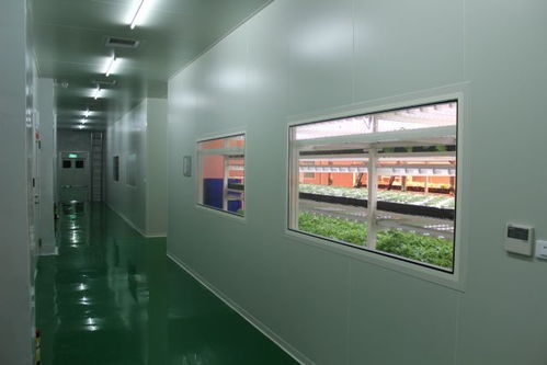 只要这样做,在钢筋混凝土的城市里也能再现 田园风光
