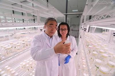 5·30来啦!河南科技工作者们有话说