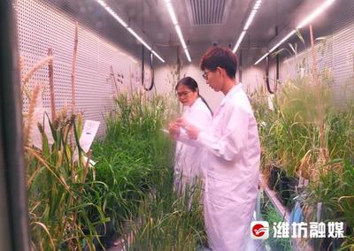 构建“四大体系”书写现代农业“潍坊答卷”——农业科学研究和试验发展
