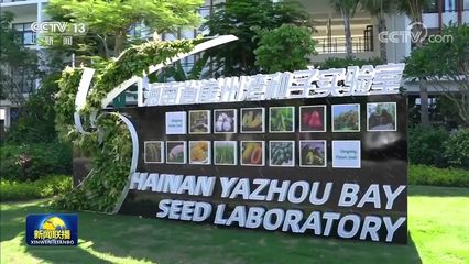 新思想引领新征程 攥紧中国种子 端稳中国饭碗——农业科学研究和试验发展的战略意义