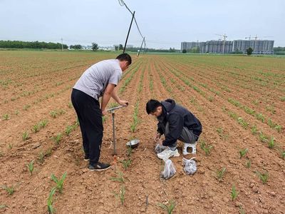 我国初步构建农业农村长期因子观测网 推动农业科研与发展实现新突破