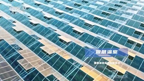 大国粮策 高科技引领农业生产迈入科幻新时代