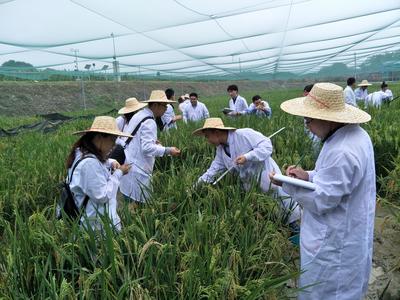 农业农村部科技发展中心 推动农业科学研究和试验发展的核心引擎