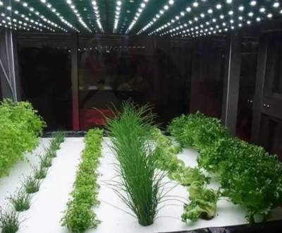 植物工厂 设施农业的最高级阶段与农业科研试验发展