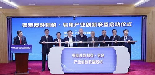 粤港澳黔刺梨与皂角产业创新联盟在广州启动，推动农业科研与试验发展