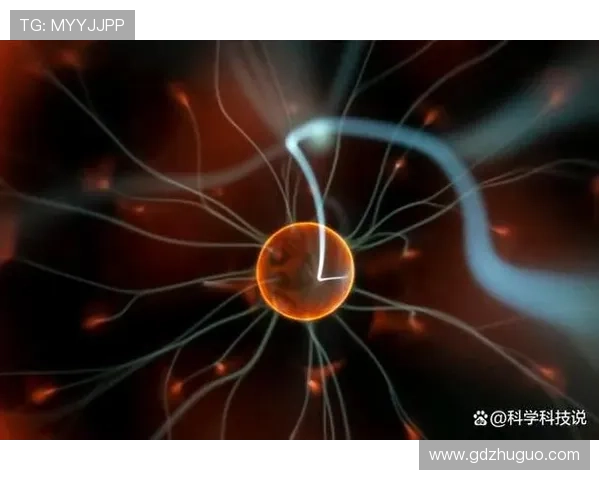 误杀3:7个隐藏线索,让你彻底看懂这部烧脑神作